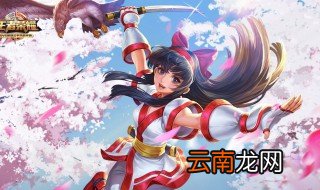 娜可露露最强铭文 怎样出装最有杀伤力