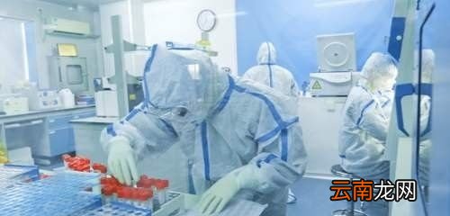 核酸一般什么时间到什么时间