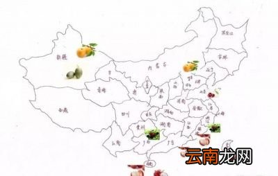 哪些水果建议在六月份可以常吃