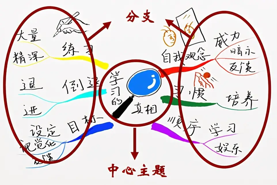 什么是思维导图怎么画 思维导图是什么意思