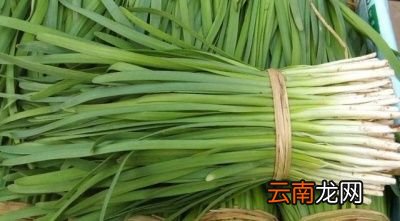 使用 禁止食用韭菜的原因