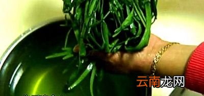 学生餐为何禁止食用韭菜主要有三个原因