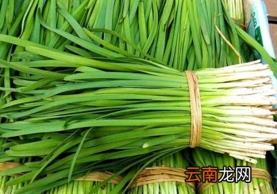 学生餐为何禁止食用韭菜主要有三个原因