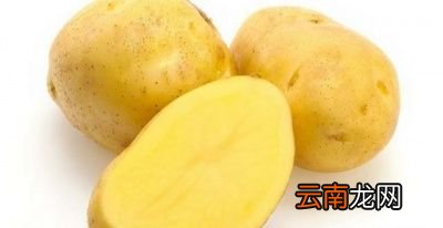 土豆到底有多少种做法