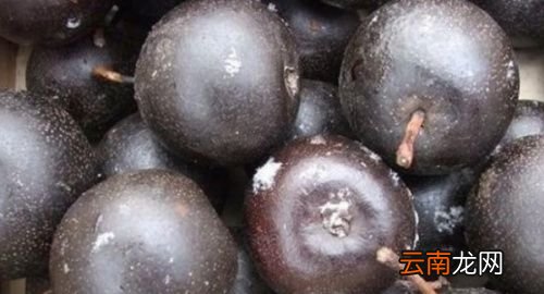 冻梨吃了对身体有哪些危害