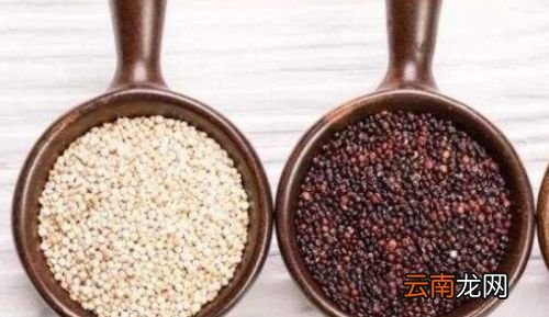 藜麦热量高为什么减肥