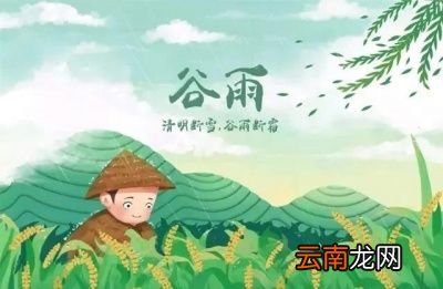 农村谚语谷雨难得雨是什么意思