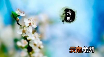 这句谚语讲了什么