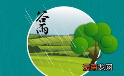 这句谚语讲了什么