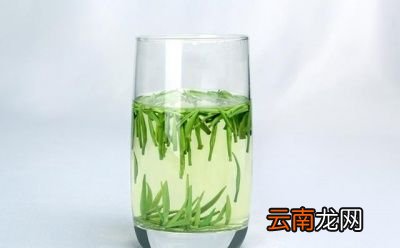 喝什么茶叶比较好