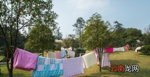 床单被套多久洗一次最合适