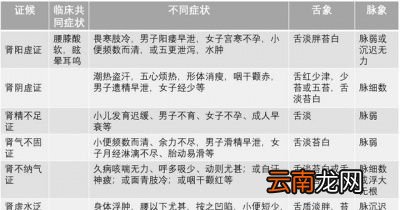 什么是肾阳虚证