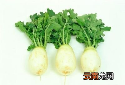 萝卜缨子插豆腐怎么做