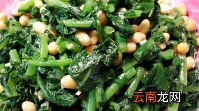 萝卜缨对人体有什么好处