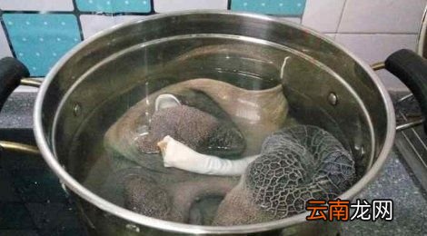 羊肚怎么煮容易烂又好吃