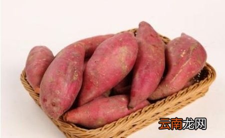 不小心吃了红薯与西红柿怎么办