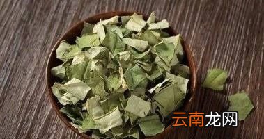 干荷叶配什么减肥更快