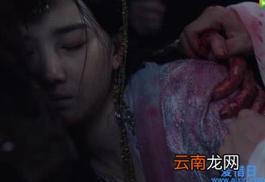 斛珠夫人大结局怎么样 斛珠夫人剧情介绍