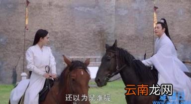 斛珠夫人大结局怎么样 斛珠夫人剧情介绍