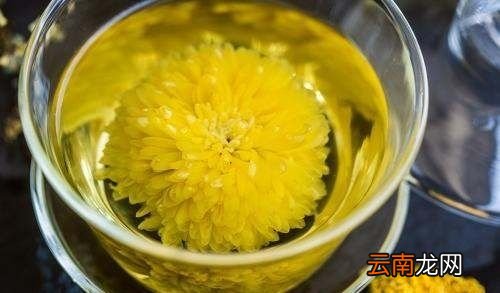 菊花生了很多虫怎么办