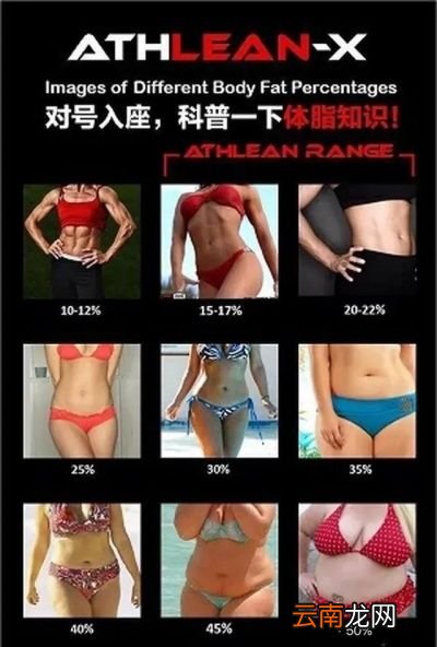 为什么腹肌是饿出来的