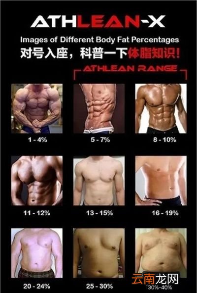 为什么腹肌是饿出来的