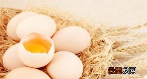 珠子底座为什么不管吃