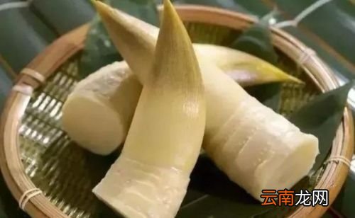 冬笋跟春笋有什么区别