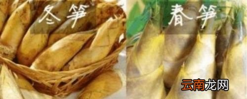 冬笋跟春笋有什么区别