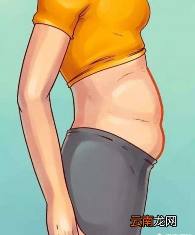 为什么下腹部脂肪偏高