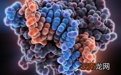 主要还是减脂方法有问题