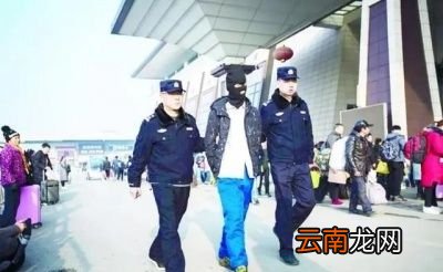 女性在遭到侵犯的时候应该奋力反抗吗