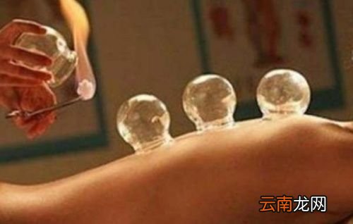 三伏天吃什么排湿气寒气最好