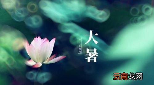 大暑节气应该做什么