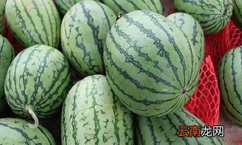 西瓜为什么称为寒瓜