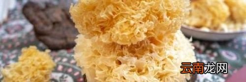 银耳一般要泡发多久