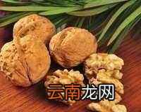减肥期间可以吃核桃吗