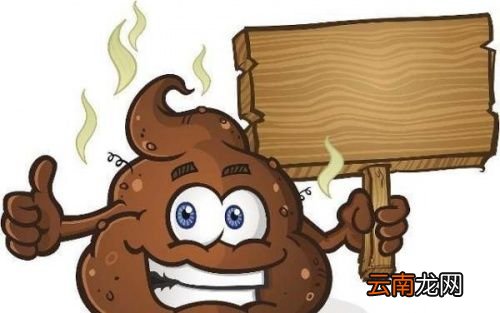 伏天身体湿气重有什么表现