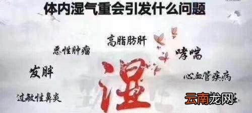 伏天身体湿气重有什么表现