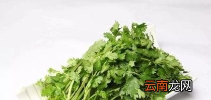香菜为什么有人喜欢有人不喜欢