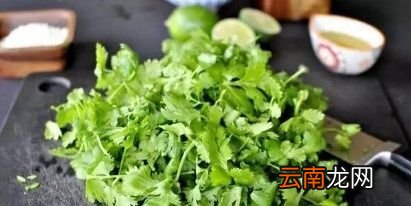 香菜为什么有人喜欢有人不喜欢