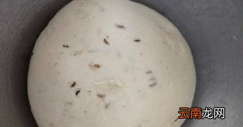 安琪酵母5克发多少面粉