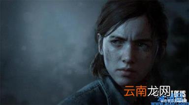 男生熬夜也要看完的女主文小说 夜里适合男生看的东西
