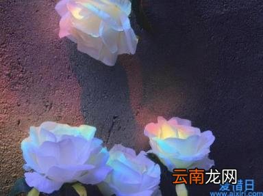 白羊座一个开创者星座 白羊座男生的性格脾气