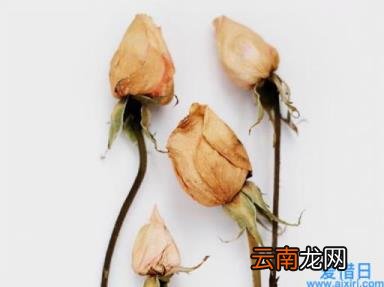 白羊座一个开创者星座 白羊座男生的性格脾气