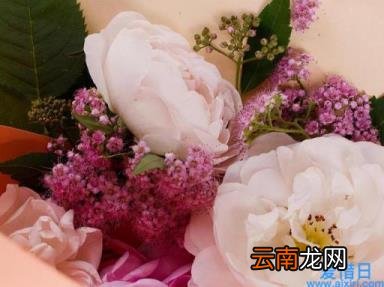 白羊座一个开创者星座 白羊座男生的性格脾气