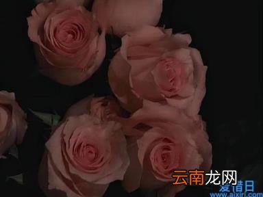 白羊座一个开创者星座 白羊座男生的性格脾气