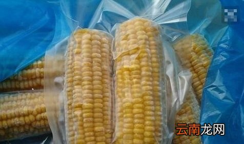 玉米在冰箱里面怎么冻