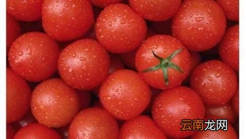 柿子可以放冰箱冷冻吗