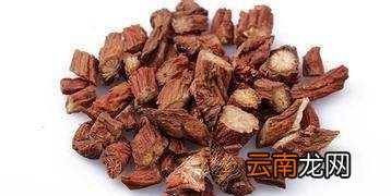丹参有哪些功效和禁忌